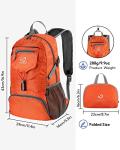 Waterfly 20L Lightweight Foldable Travel Backpack