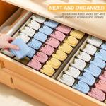 Joyoldelf 24 Cell Sock and Accessories Organizer