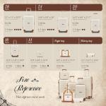 Caselly Lightweight Hard Shell Luggage Set with Wheels