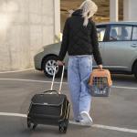 Arcoyard Rolling Laptop Bag with Spinner Wheels