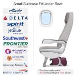 Hanke 16" Underseat Carry-On Luggage - Purple