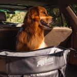 Bison Coolers Softpak 12 Can Insulated Cooler