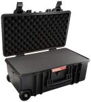 Amazon Basics Large Hard Camera Case with Wheels