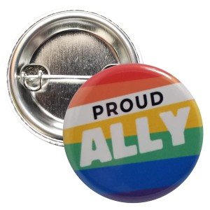 Proud Ally Flag Pin Set - 12 Pack