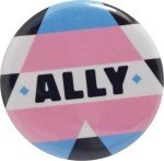 Trans Ally Flag Pin Set - Pack of 12