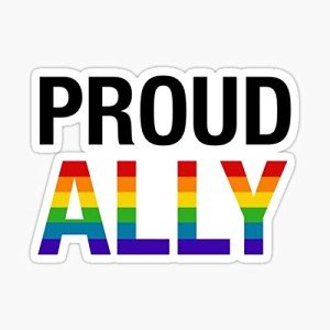 Proud Ally LGBTQ+ Sticker for Any Surface