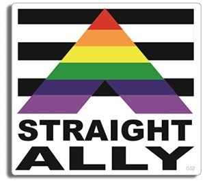 Straight Ally Gay Pride Bumper Sticker - 3.5