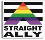Straight Ally Gay Pride Bumper Sticker - 3.5