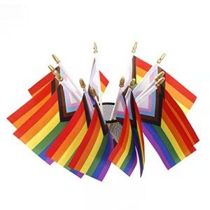 12 Pack Mini Progress Pride Rainbow Flags