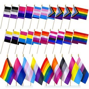 Mini LGBTQ+ Pride Flags - 20 Pack Set