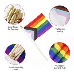 12 Pack Mini Progress Pride Rainbow Flags