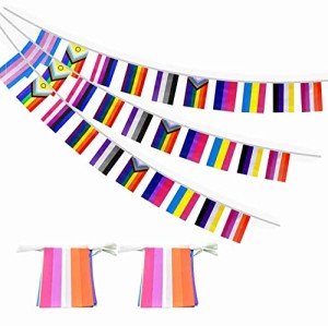 LGBTQ+ Pride Flags Banners, Pack of 2