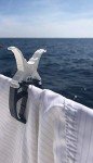 Navy Blue 6-Pack Storm Proof Lockable Clothespins