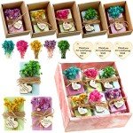 Kigeli 45-Piece Handmade Soap Wedding Favors Set