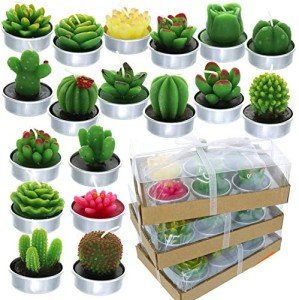 18 Piece Succulent Cactus Scented Candle Set