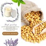 24 Mini Lavender Scented Mason Jar Candles