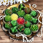 18 Piece Succulent Cactus Scented Candle Set