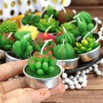 18 Piece Succulent Cactus Scented Candle Set