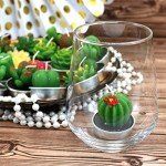 18 Piece Succulent Cactus Scented Candle Set