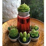 18 Piece Succulent Cactus Scented Candle Set