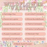 Personalized Wildflower Seed Packets for Weddings