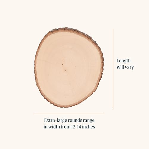 Extra Large Walnut Hollow Basswood Country Round for DIY