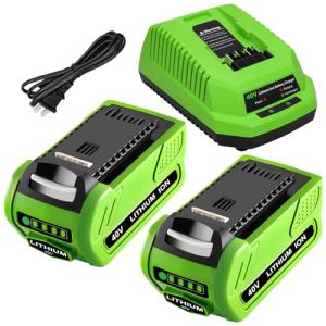 40V Lithium Battery Replacement for GreenWorks 2-Pack