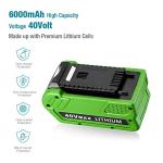 40V 6.0Ah Replacement Battery for Greenworks Tools