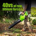 40V 6.5Ah Lithium-Ion Battery for Greenworks