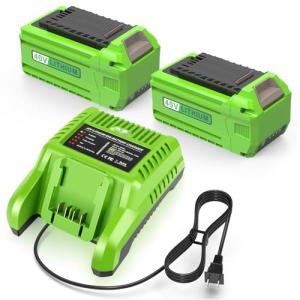 Greenworks 40V Battery and Charger Replacement Set