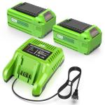 Greenworks 40V Battery and Charger Replacement Set