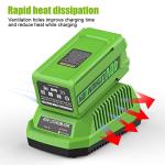 40V 6.5Ah Lithium-Ion Battery for Greenworks