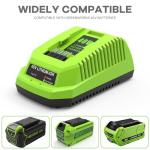 Energup 40V Battery and Charger for Greenworks Tools