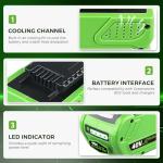40V Replacement Battery for Greenworks Tools