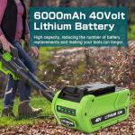 40V Lithium Battery Replacement for GreenWorks 2-Pack