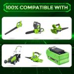 40V Replacement Battery for Greenworks Tools