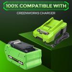 40V Replacement Battery for Greenworks Tools