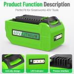 Greenworks 40V Battery and Charger Combo Pack