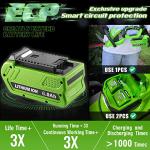 TenHutt 6.0Ah 40V Battery for GreenWorks Tools