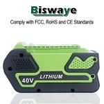 Biswaye 40V 6.0Ah Lithium Battery for GreenWorks Tools