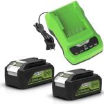 6.5Ah Greenworks 24V Battery and Charger Bundle