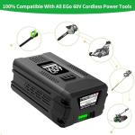 60V 5.0Ah Lithium-Ion Battery for Greenworks Tools