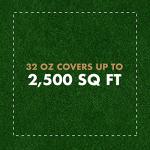 Spectracide Immunox Fungus and Insect Control 1 Pack