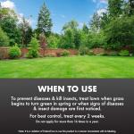 Spectracide Immunox Fungus and Insect Control 1 Pack