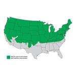 GreenView Spring Fertilizer Weed & Feed 18 lb