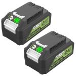 Greenworks 24V Replacement Batteries - 2 Pack, 6.5Ah