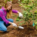 Yaocom Heavy Duty Aluminum Garden Shovel Set