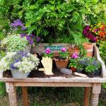 DeWit Sturdy Hand Trowel for Garden Tasks