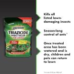 Triazicide Insect Killer Granules for Lawns, 10 lb