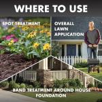 Triazicide Insect Killer Granules for Lawns, 10 lb